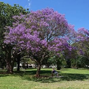 Meet your Posher, Teresa